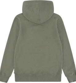 Børn Levis Hættetrøjer>Hættetrøje - Mini Batwing - Deep Lichen Green