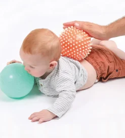 Ludi Bolde|Sansebolde - 2 stk - Multi