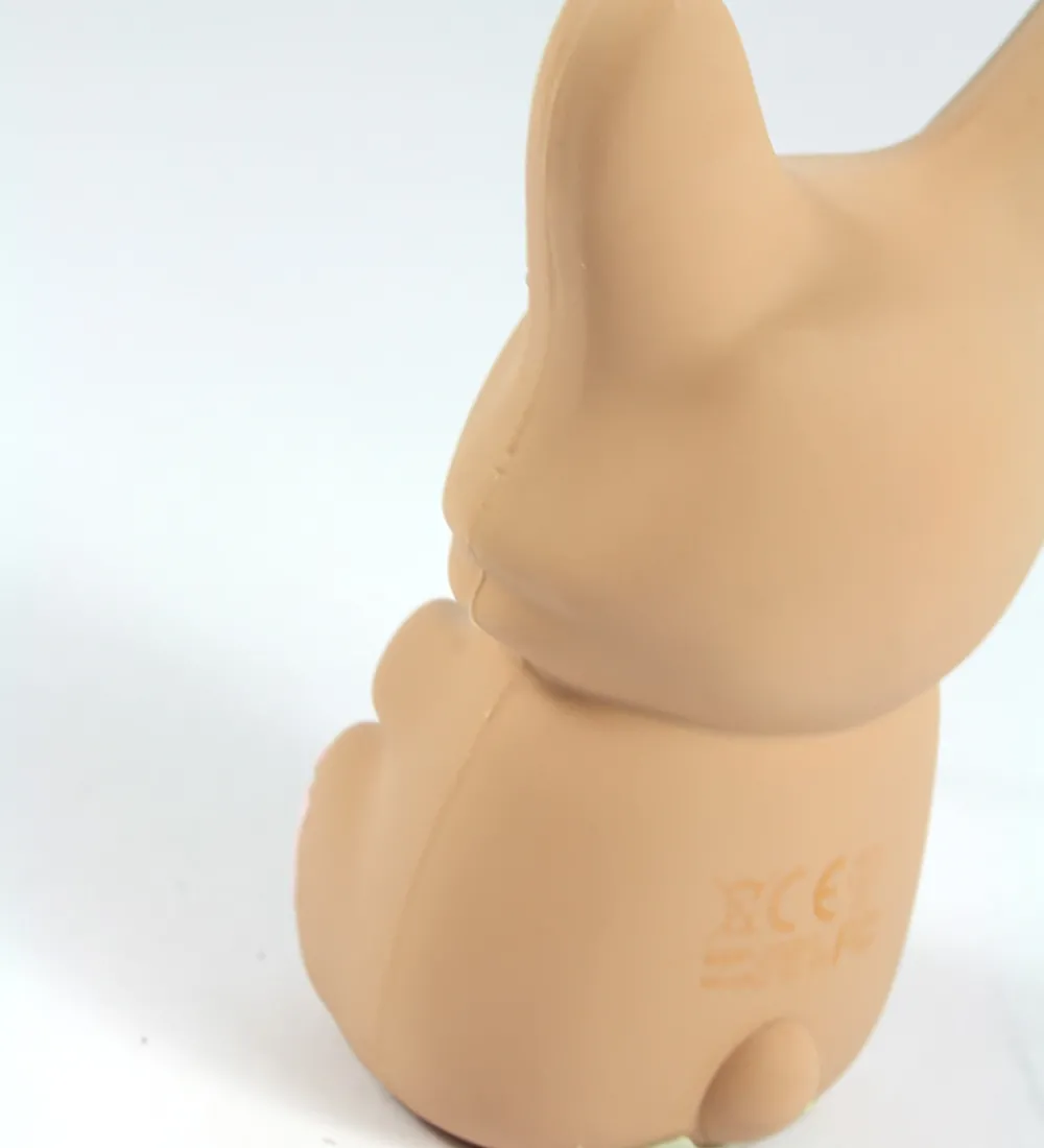 Moji Power Powerbanks|Powerbank - Corgi - 2600mAh