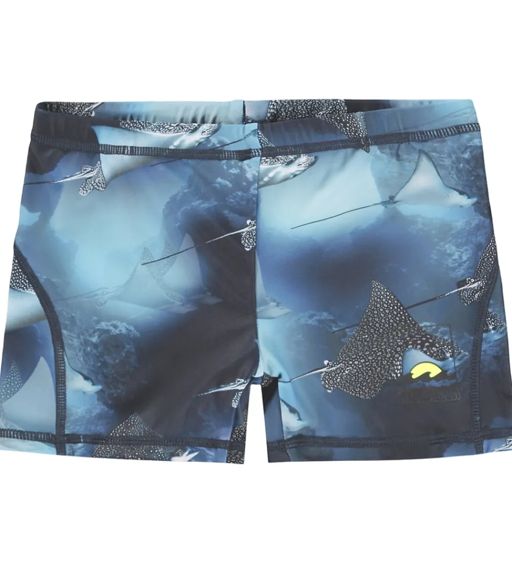 Børn Molo Badetøj|Badebukser - UV50+ - Norton - Into The Blue