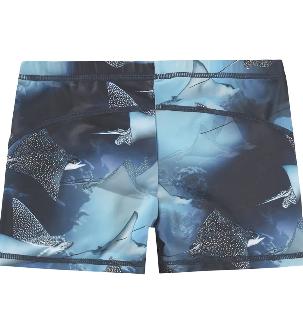 Børn Molo Badetøj|Badebukser - UV50+ - Norton - Into The Blue