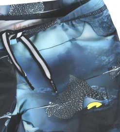 Børn Molo Badetøj|Badebukser - UV50+ - Norton - Into The Blue