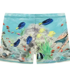 Børn Molo Badetøj|Badebukser - UV50+ - Norton Placed - Happy Ocean