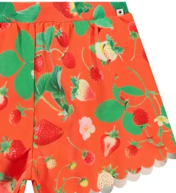 Børn Molo Badetøj|Badeshorts - UV50+ - Neva - Strawberry Red