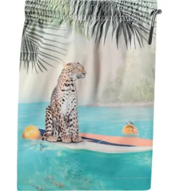 Børn Molo Badetøj|Badeshorts - UV50+ - Niko - Leo On Surf