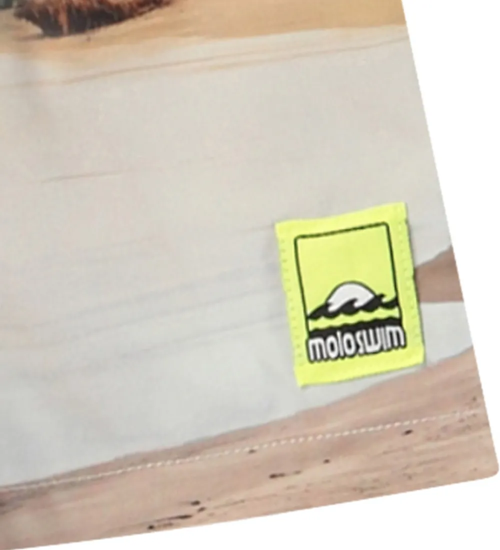 Børn Molo Badetøj|Badeshorts - UV50+ - Niko - Island Surf