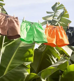 Børn Molo Badetøj|Badeshorts - UV50+ - Niko Solid - Green Vibes