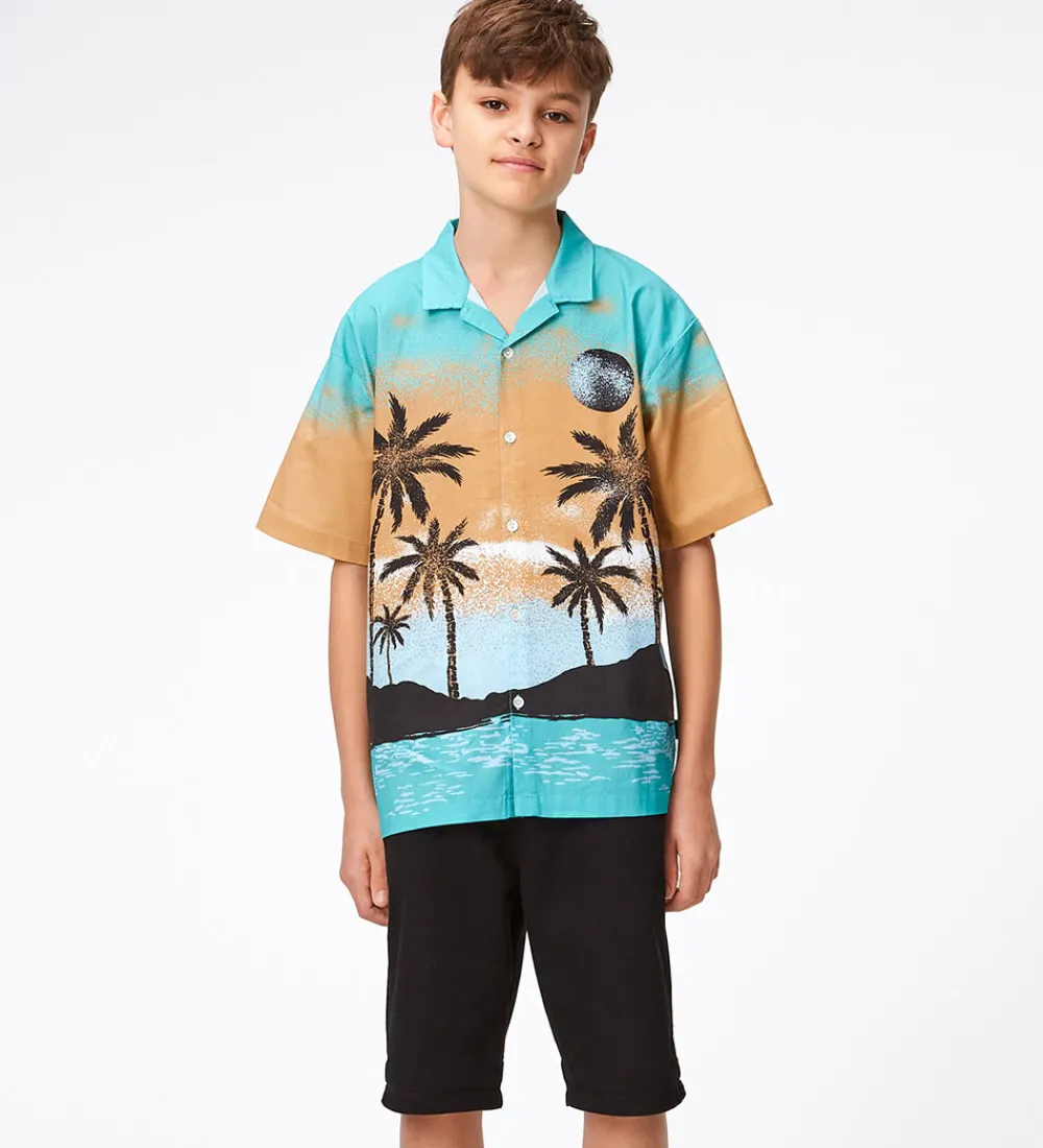 Børn Molo Shorts Og Knickers|Shorts - Alan - Sort