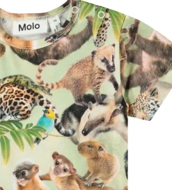 Børn Molo Sommerdragter>Sommerdragt - Finn - Jungle Cubs