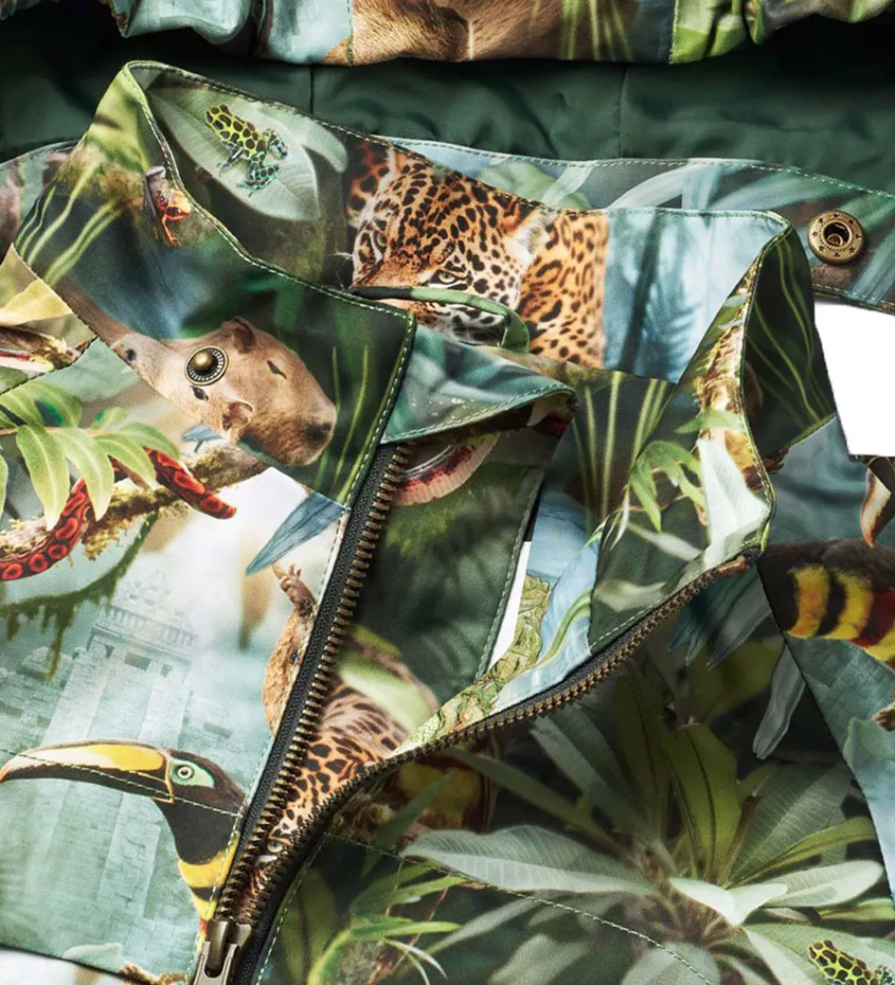 Børn Molo Softshell>Sommerjakke - Hoplas - Jungle Life