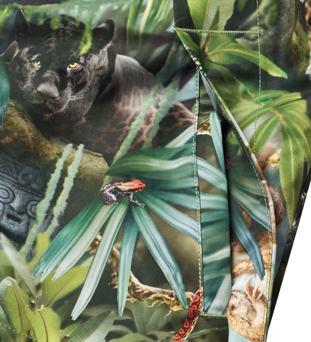 Børn Molo Softshell>Sommerjakke - Hoplas - Jungle Life