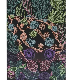 Nebulous Stars Malebog|Malebog m. Tuscher - Sorte Sider - Coralia