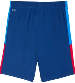 Børn Puma Shorts Og Knickers>Shorts - Training - Neymar JR - Blå