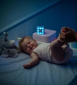 Reer Natlamper><noscript><img width=