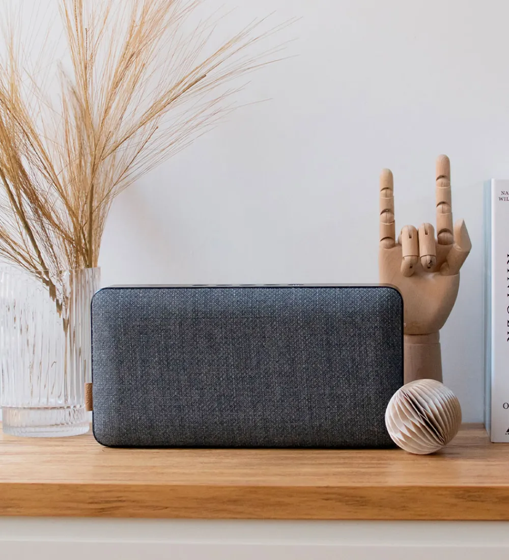 SACKit Højtalere>Højtaler - Move 150 - Steel