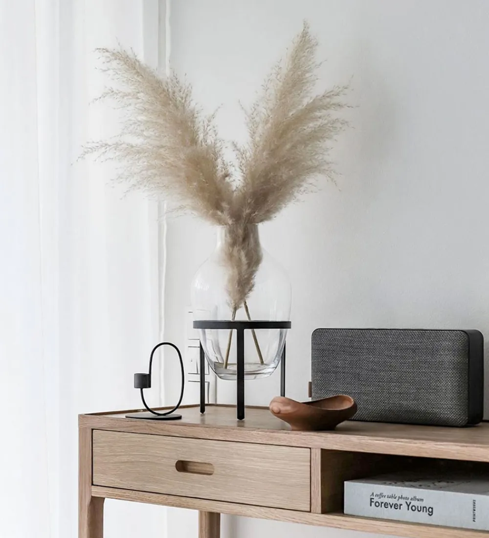 SACKit Højtalere>Højtaler - Move 150 - Steel