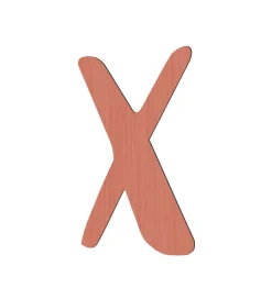 Sebra Bogstaver|Træbogstaver - X - Watermelon Pink