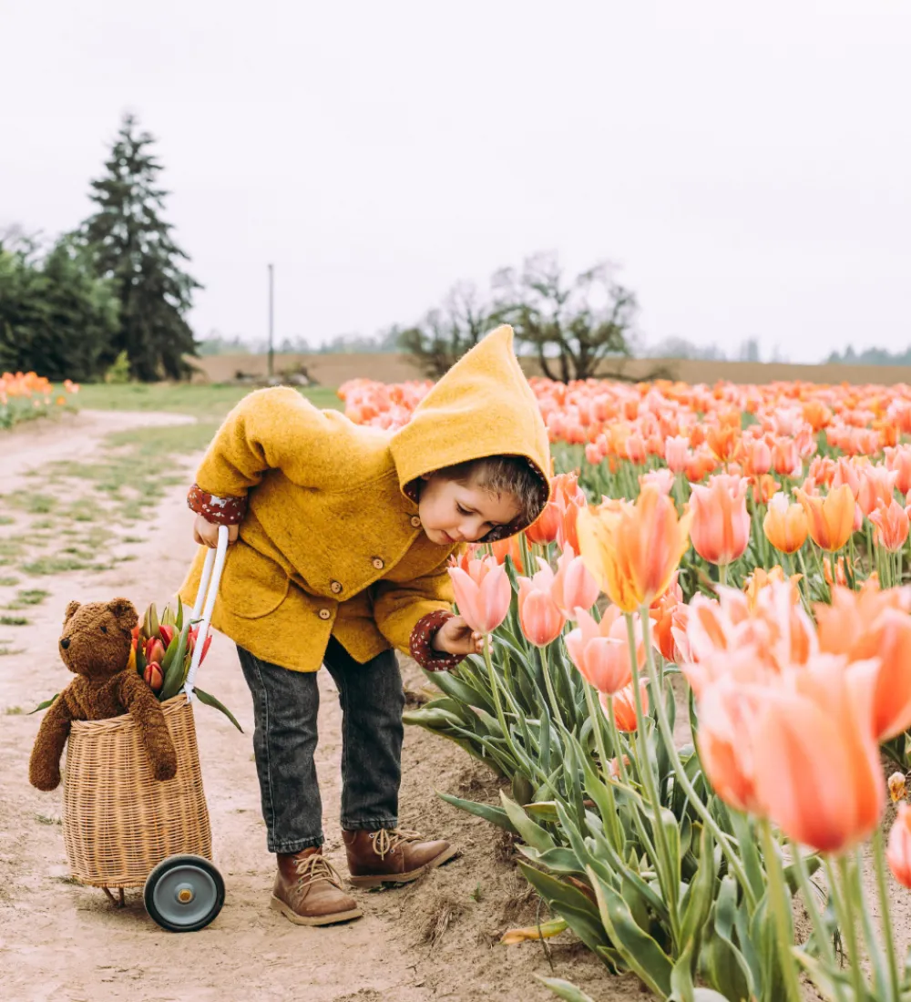 Senger Naturwelt Bamser>Bamse - Stor - Bjørn - Brun