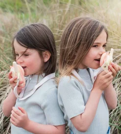 The Zoofamily Walkie Talkies|Walkie Talkies - Dino Pink