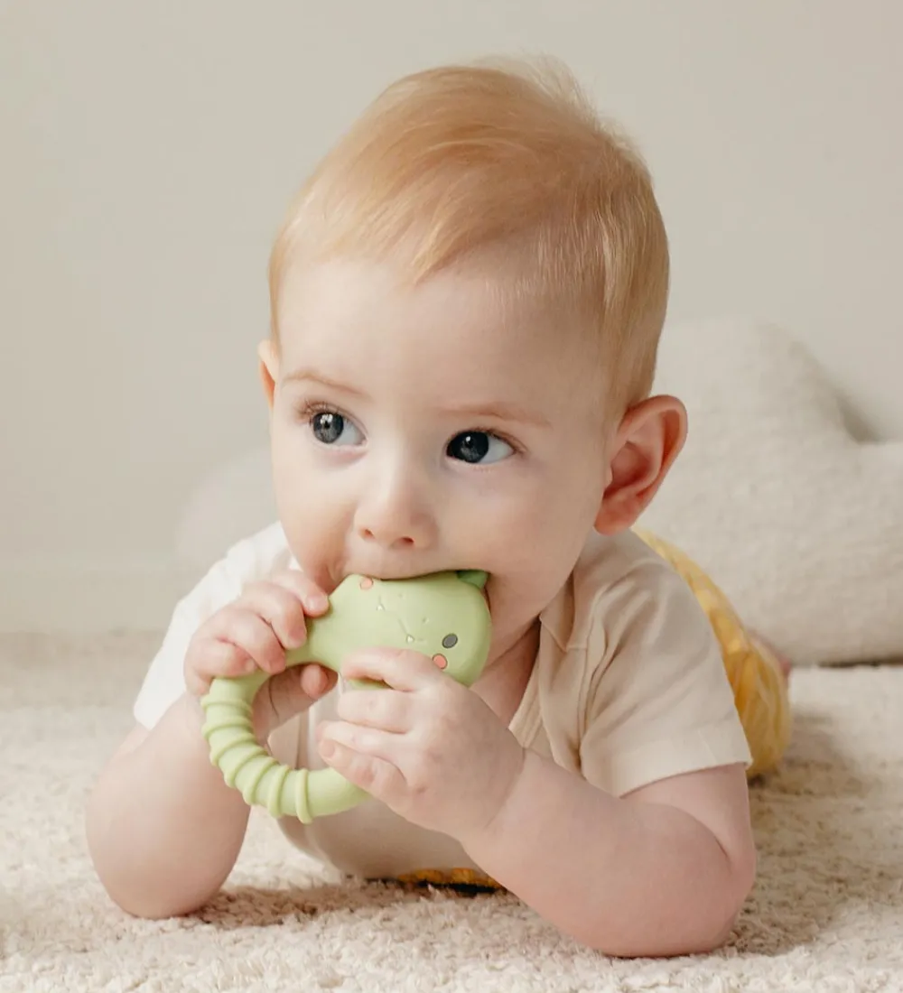 Tiger Tribe Bideringe>Bidering - Silikone - Dino