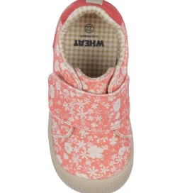 Wheat Begyndersko><noscript><img width=